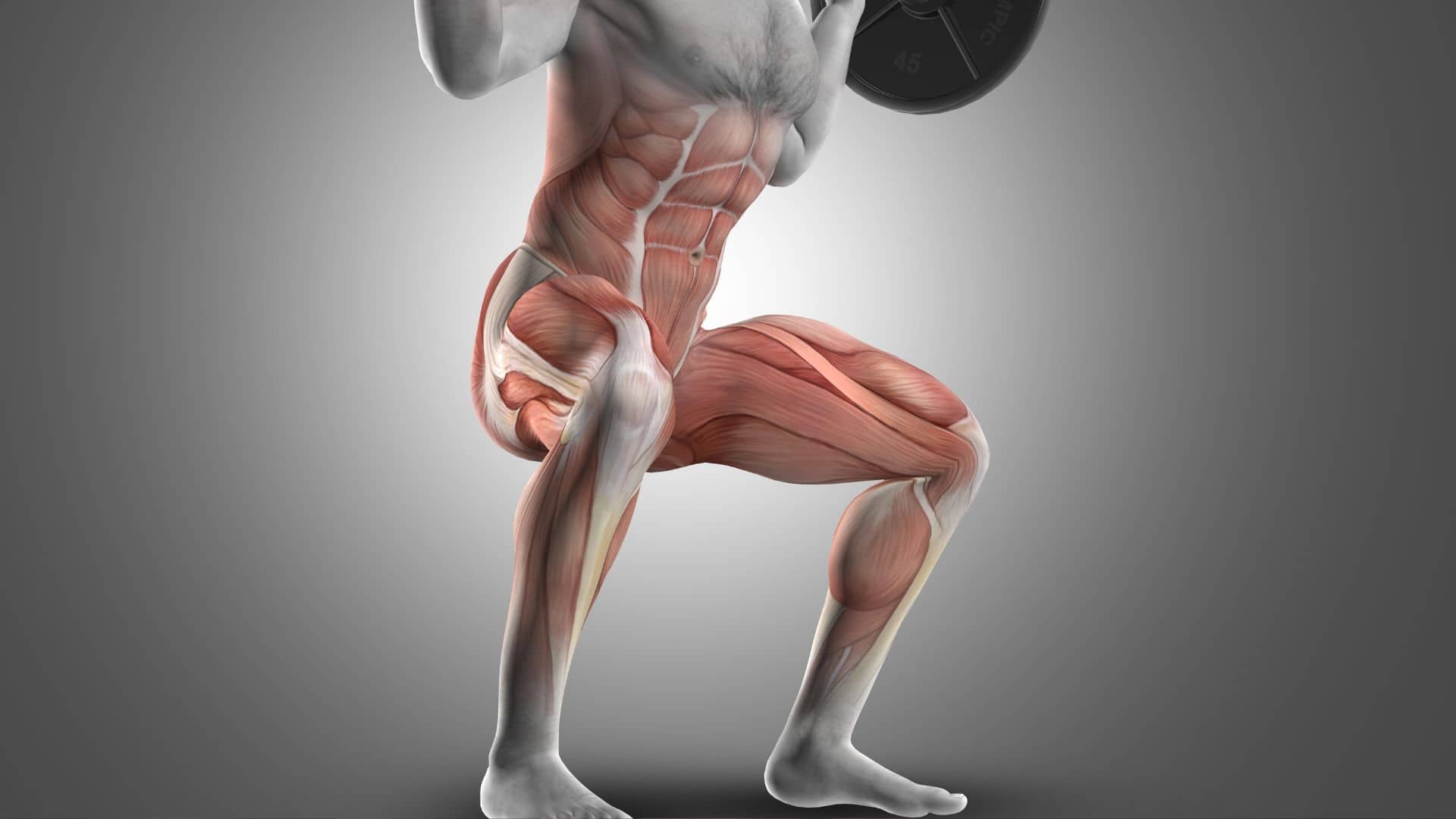 Why Squats Make You Feel The Entire Lower Body Working: Explained)