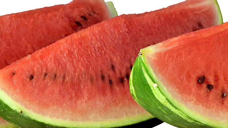 Slices of Watermelon