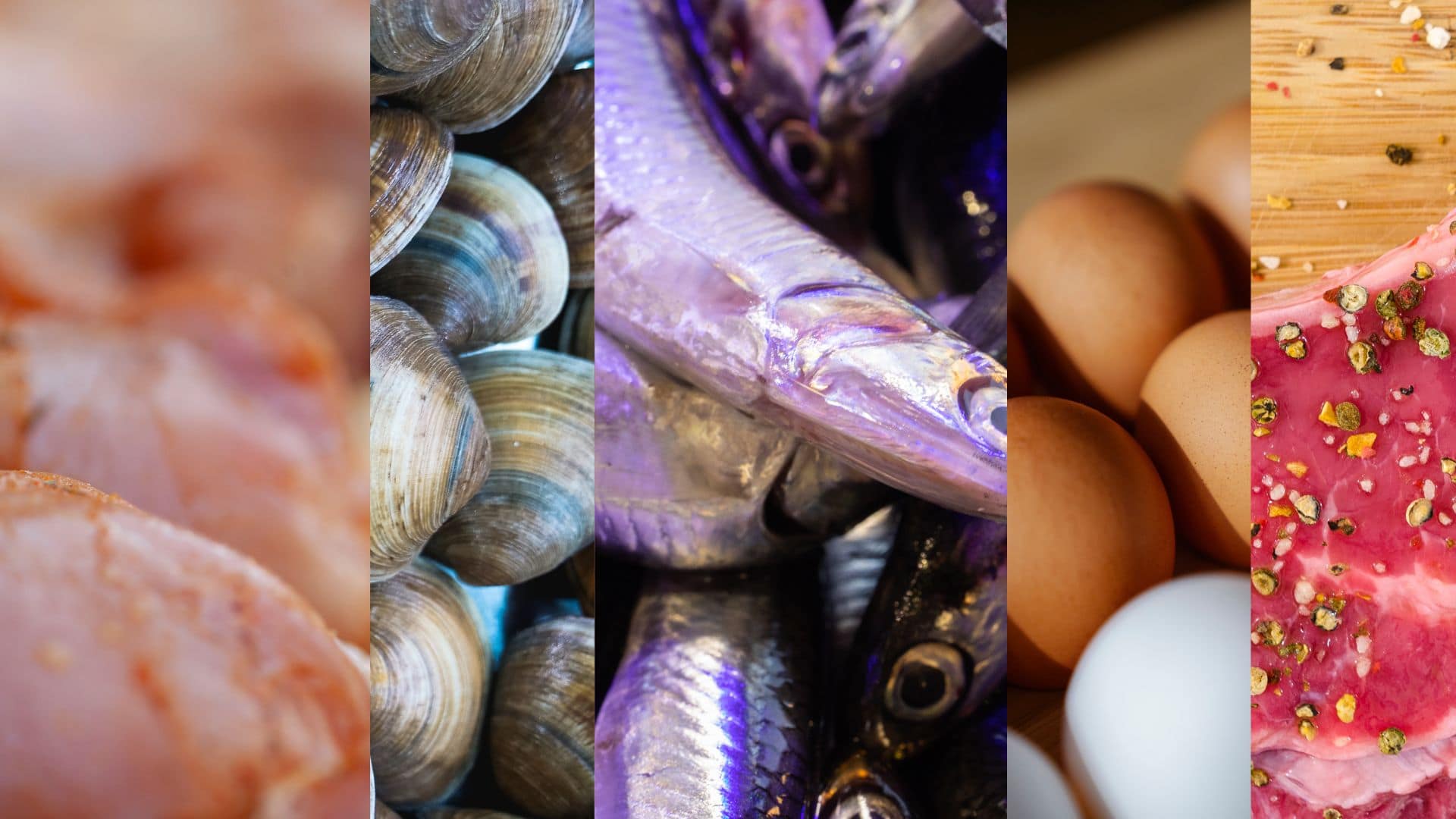 Will Eating More Protein Help You Build Muscle While Squatting JSquat